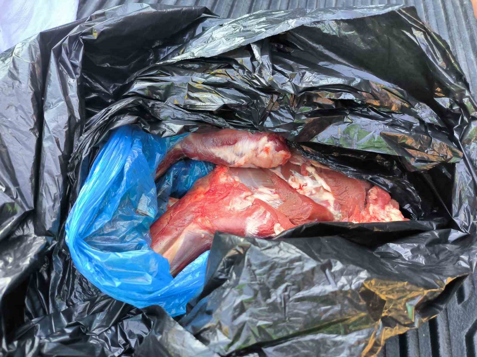 DNA analizinde yaban ke&ccedil;isi &ccedil;ıkınca avcılara 673 bin lira para cezası kesildi
