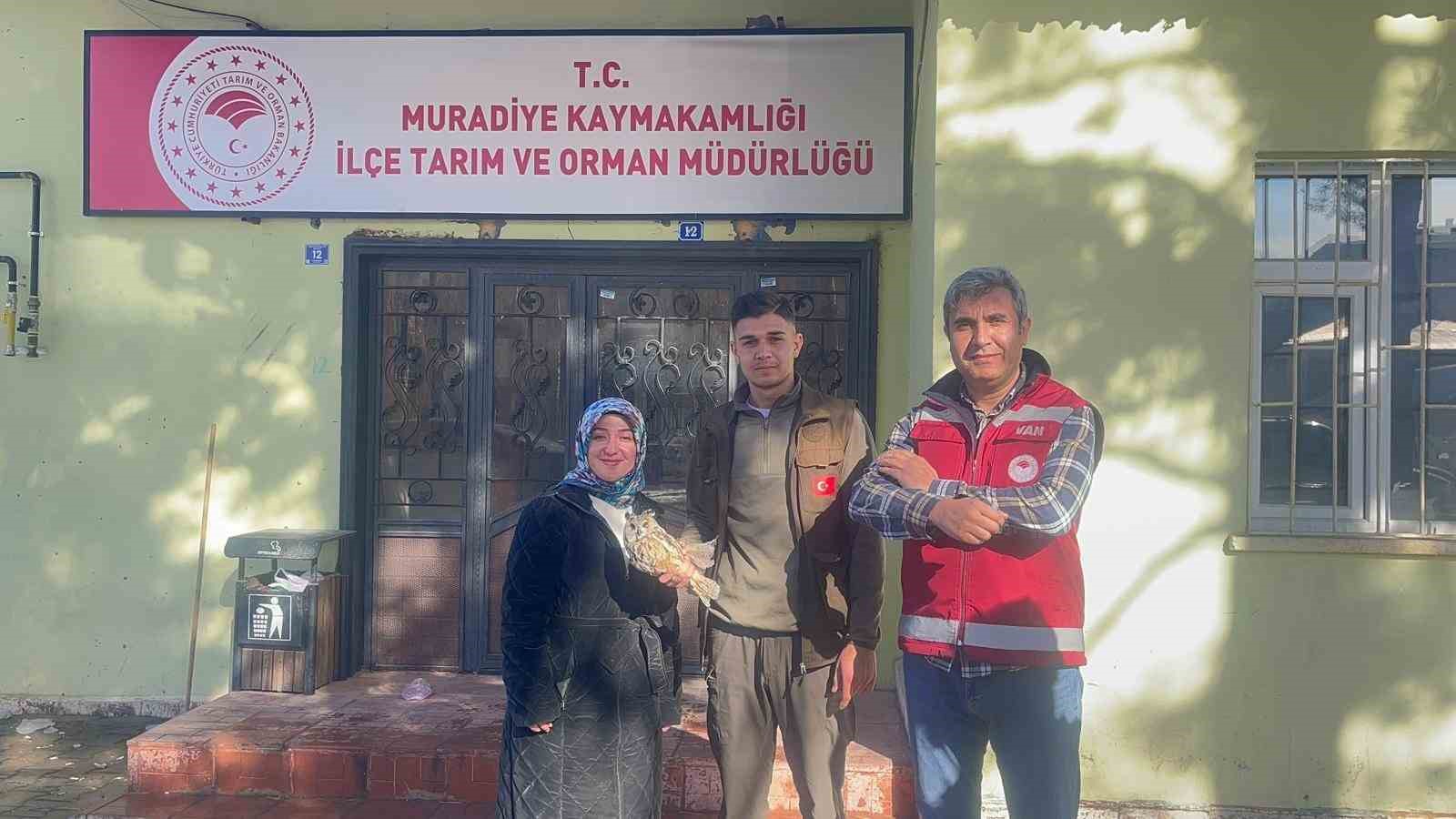 Van&rsquo;da bulunan yaralı baykuş koruma altına alındı
