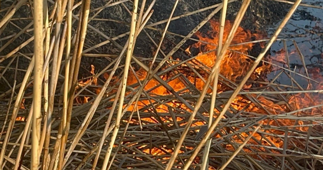 Tavşanlı&rsquo;da otluk alanda korkutan yangın
