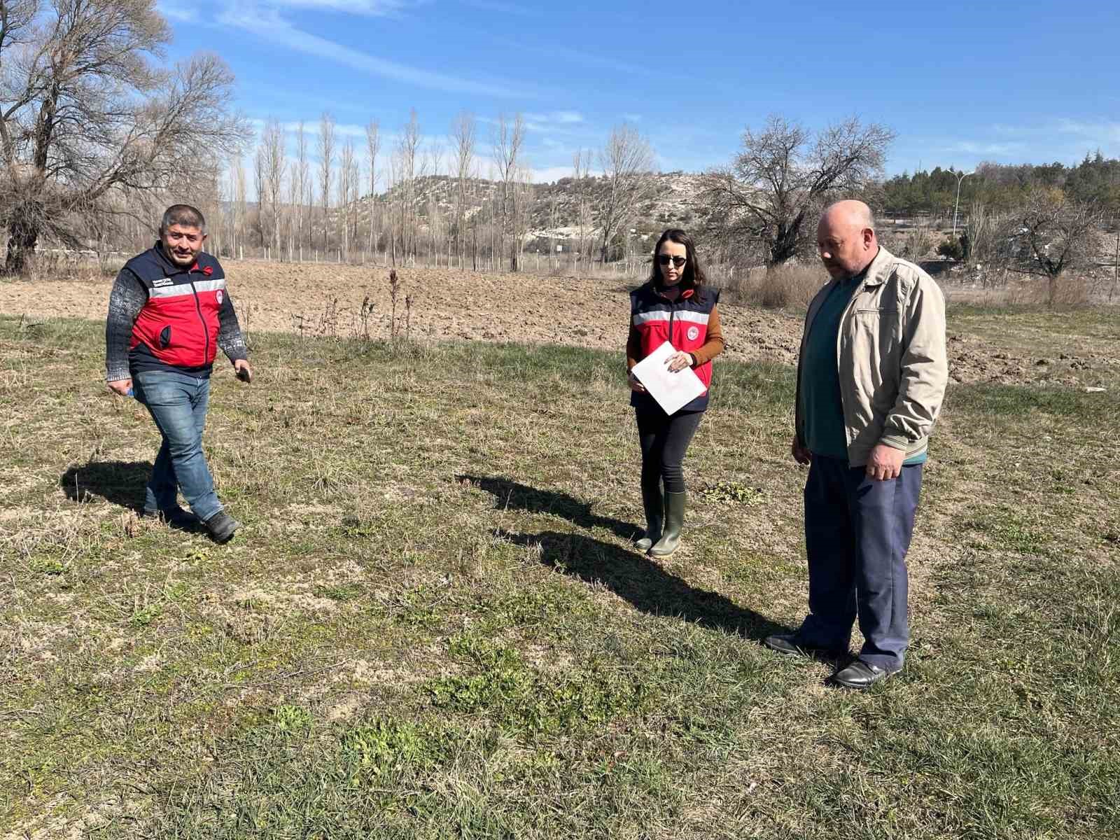 Kütahya’da tarla faresine karşı etkin mücadele çalışmaları