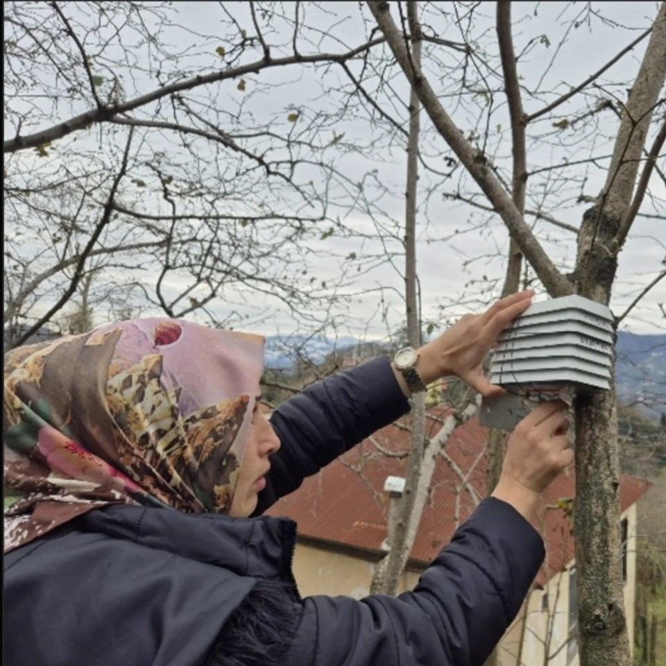 Fındıkta kış soğukları ve ilkbahar ge&ccedil; donlarını anlattılar

