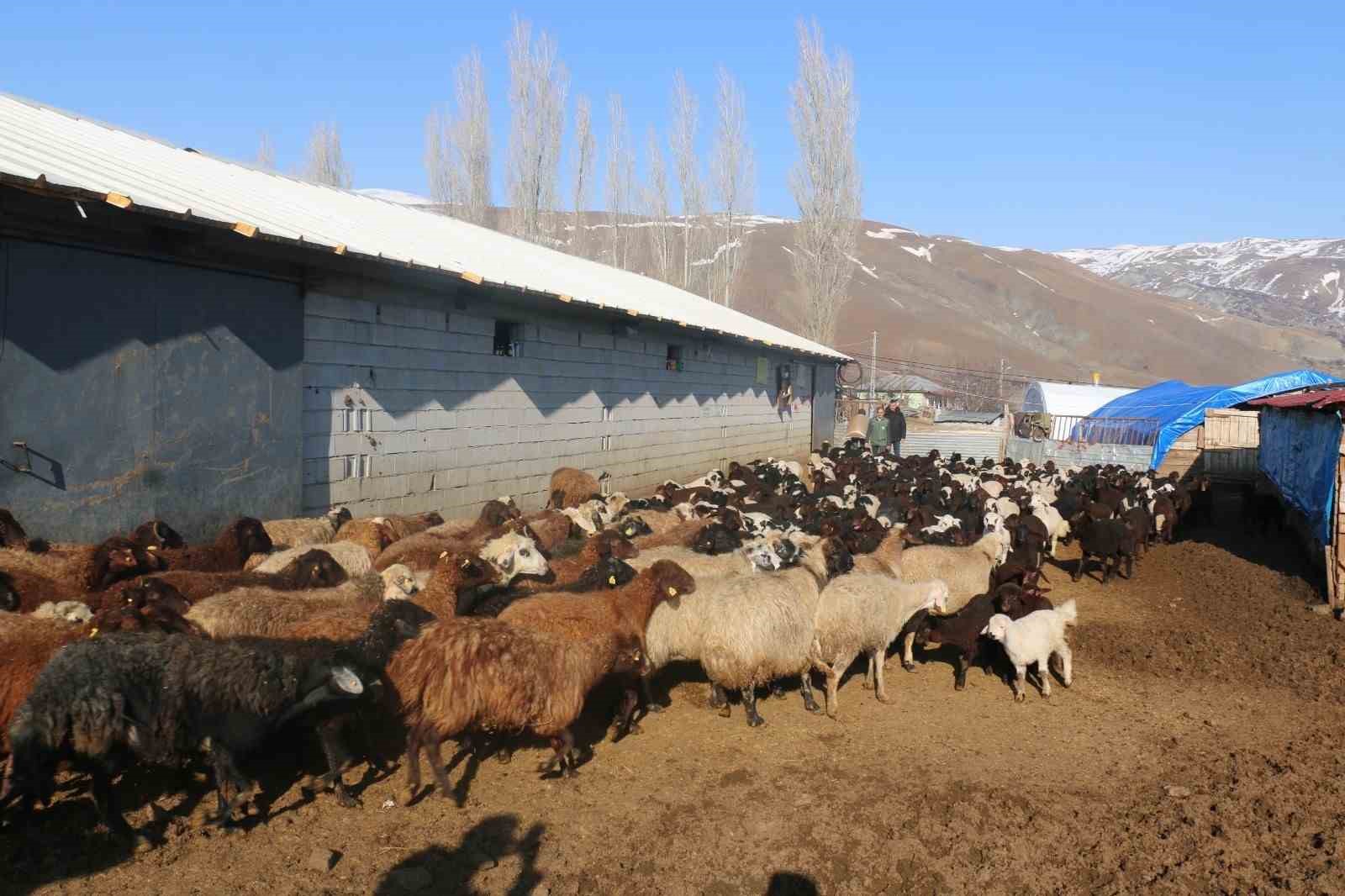 Devlet desteği Erzincanlı çiftçilere umut oldu
