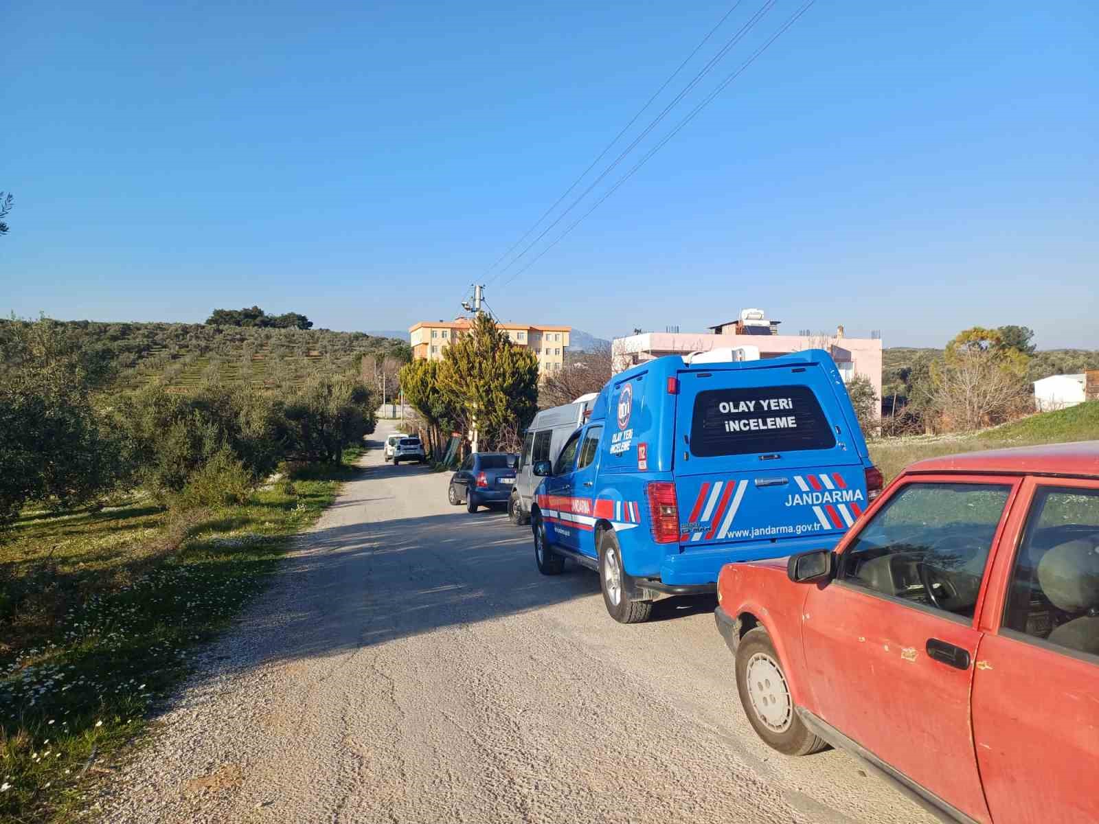 İzmir’de bir eve operasyon: 102 kök kenevir ele geçirildi