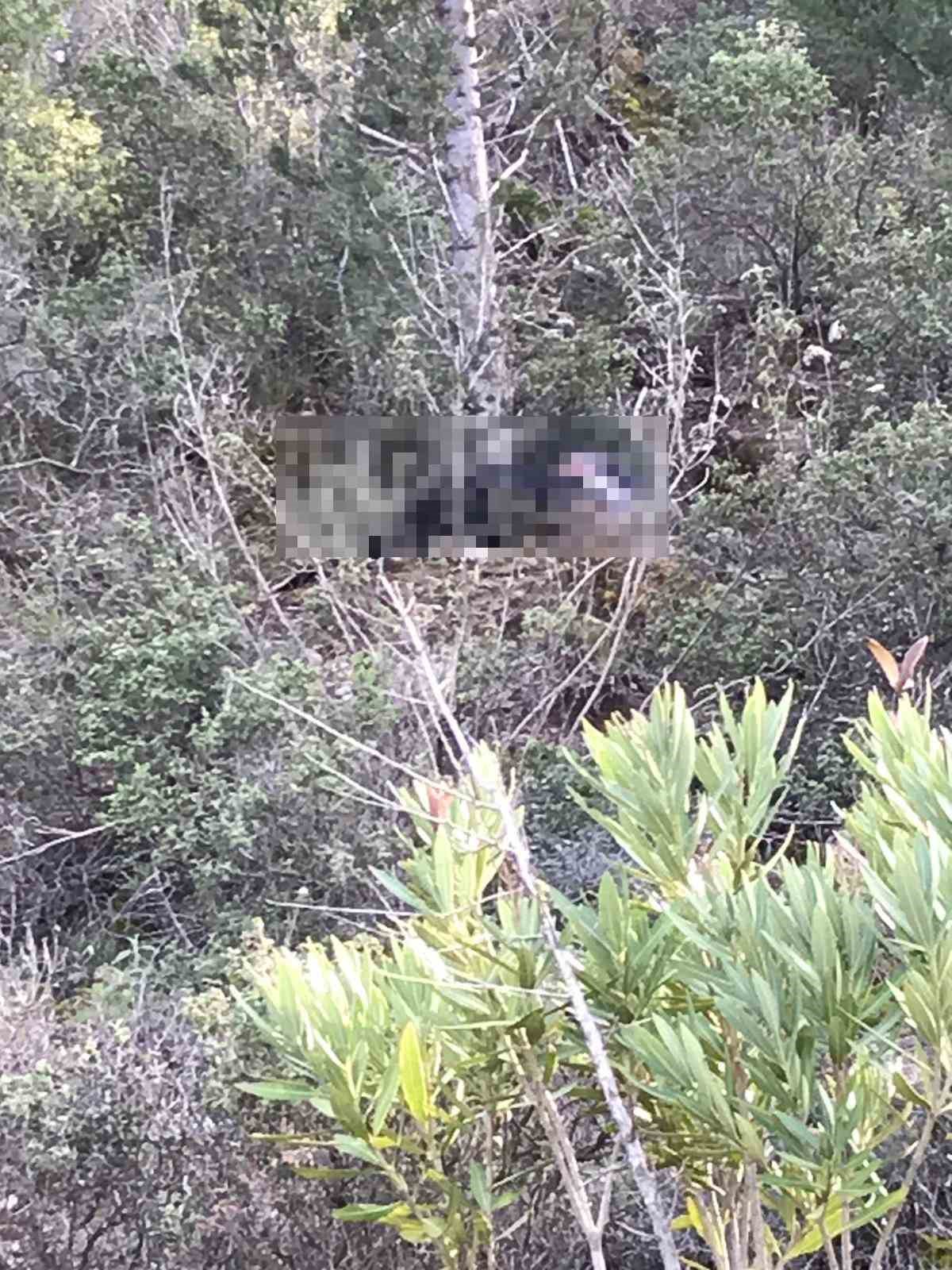 Ormanlık alanda 4 yıl &ouml;nceki kesik baş cinayetinde gencin &rsquo;define&rsquo; kurbanı olduğu ortaya &ccedil;ıktı
