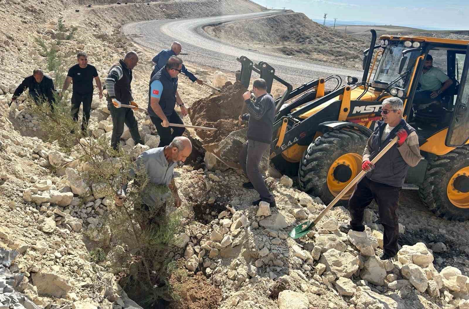 Sahabe mevkiindeki t&uuml;m yama&ccedil;lar yeşillendirildi
