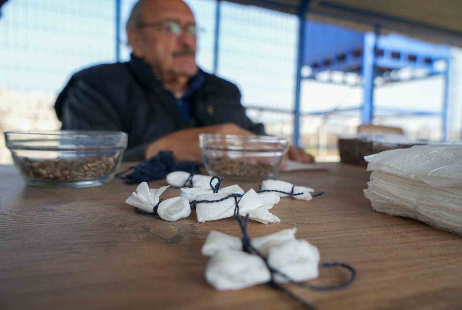 Peçetede saklı umutlar, doğada filizlenecek