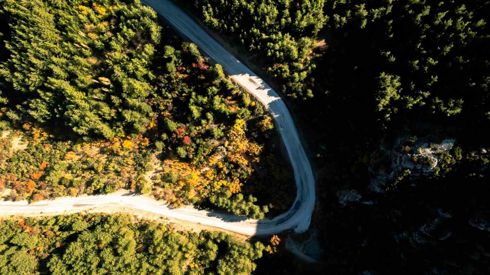 Pe&ccedil;etede saklı umutlar, doğada filizlenecek
