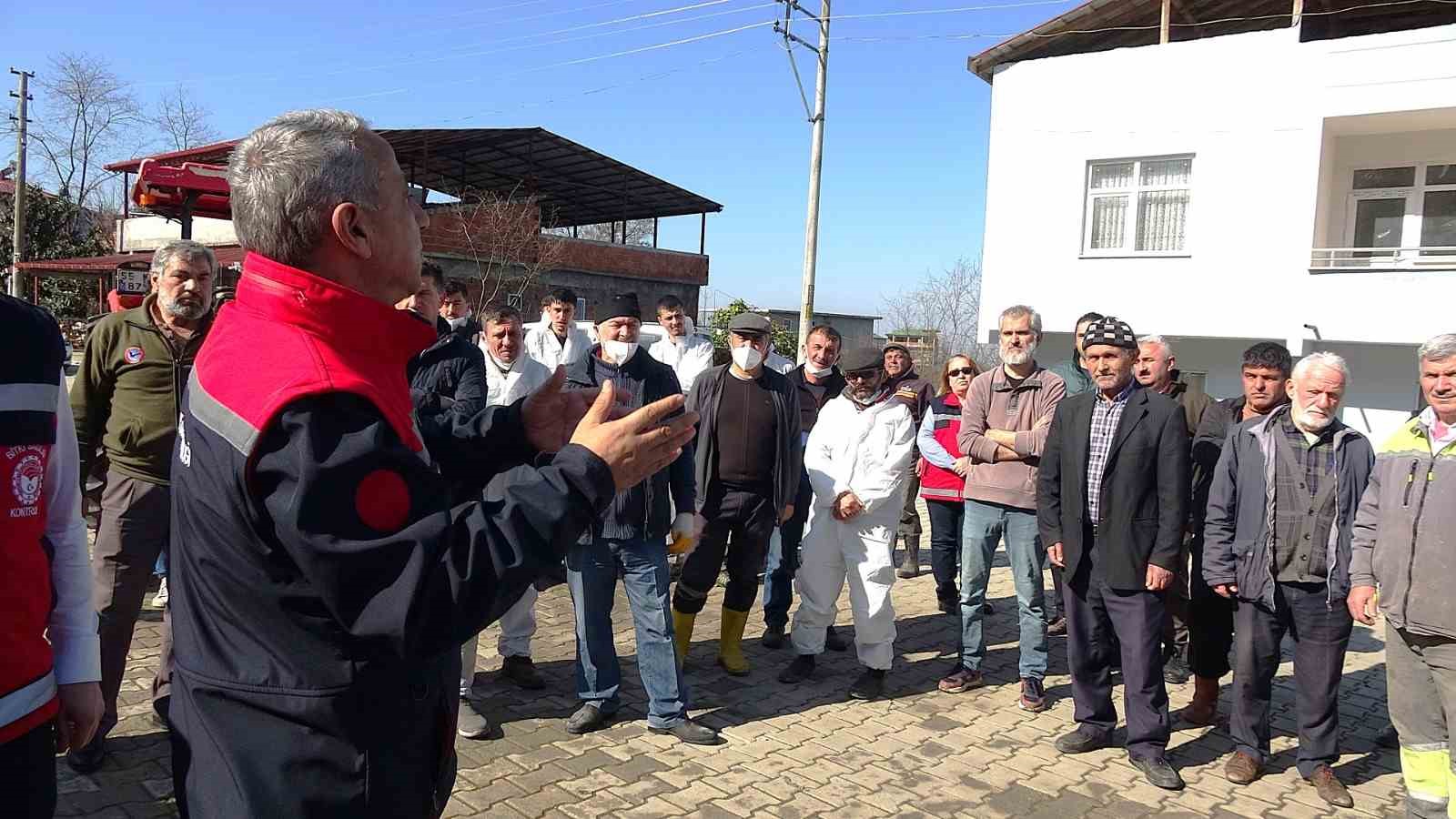 Samsun’da kahverengi kokarca ile mücadele: Biyosidal ilaçlı önlem