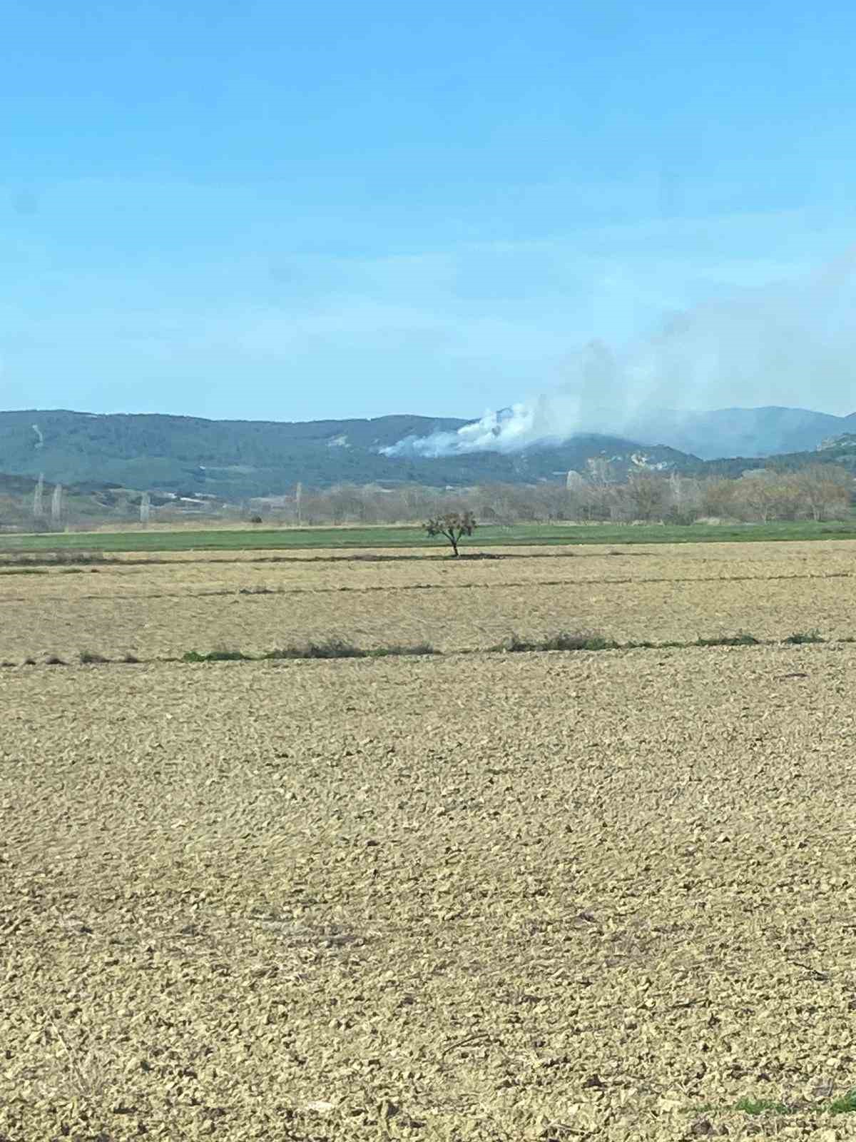 &Ccedil;anakkale&rsquo;de orman yangını
