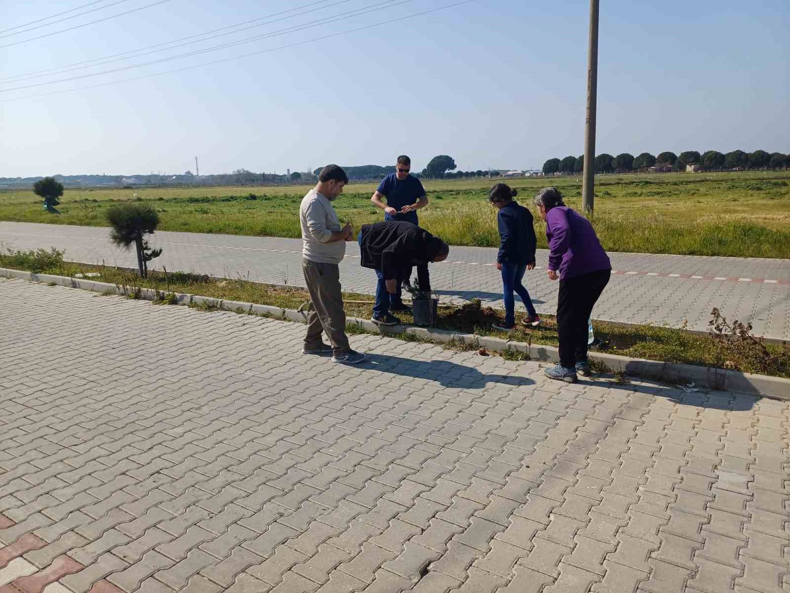 Ayvalık’ta hayvanseverler kuruyan ağaçların yerine yeni fidanlar dikti