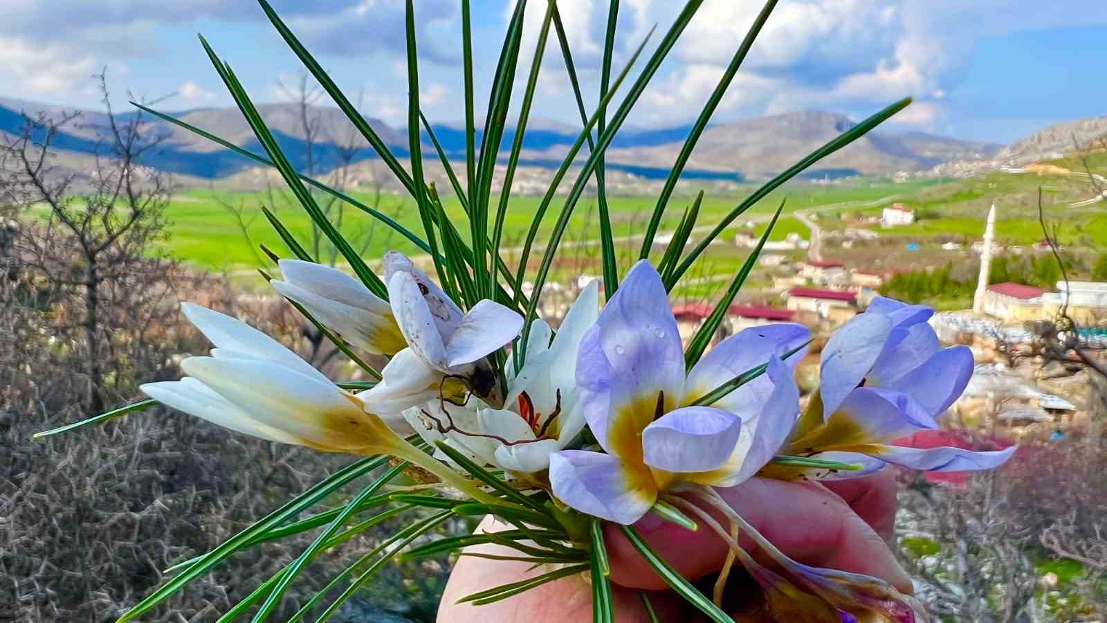 Baharın ahengi göz kamaştırdı