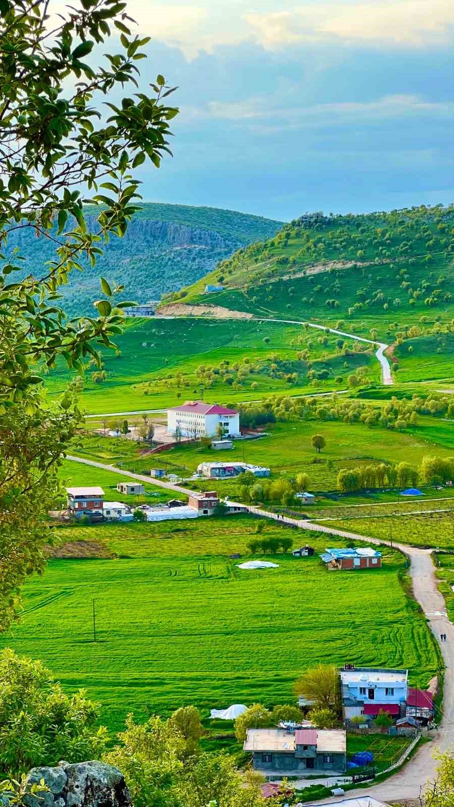 Baharın ahengi g&ouml;z kamaştırdı
