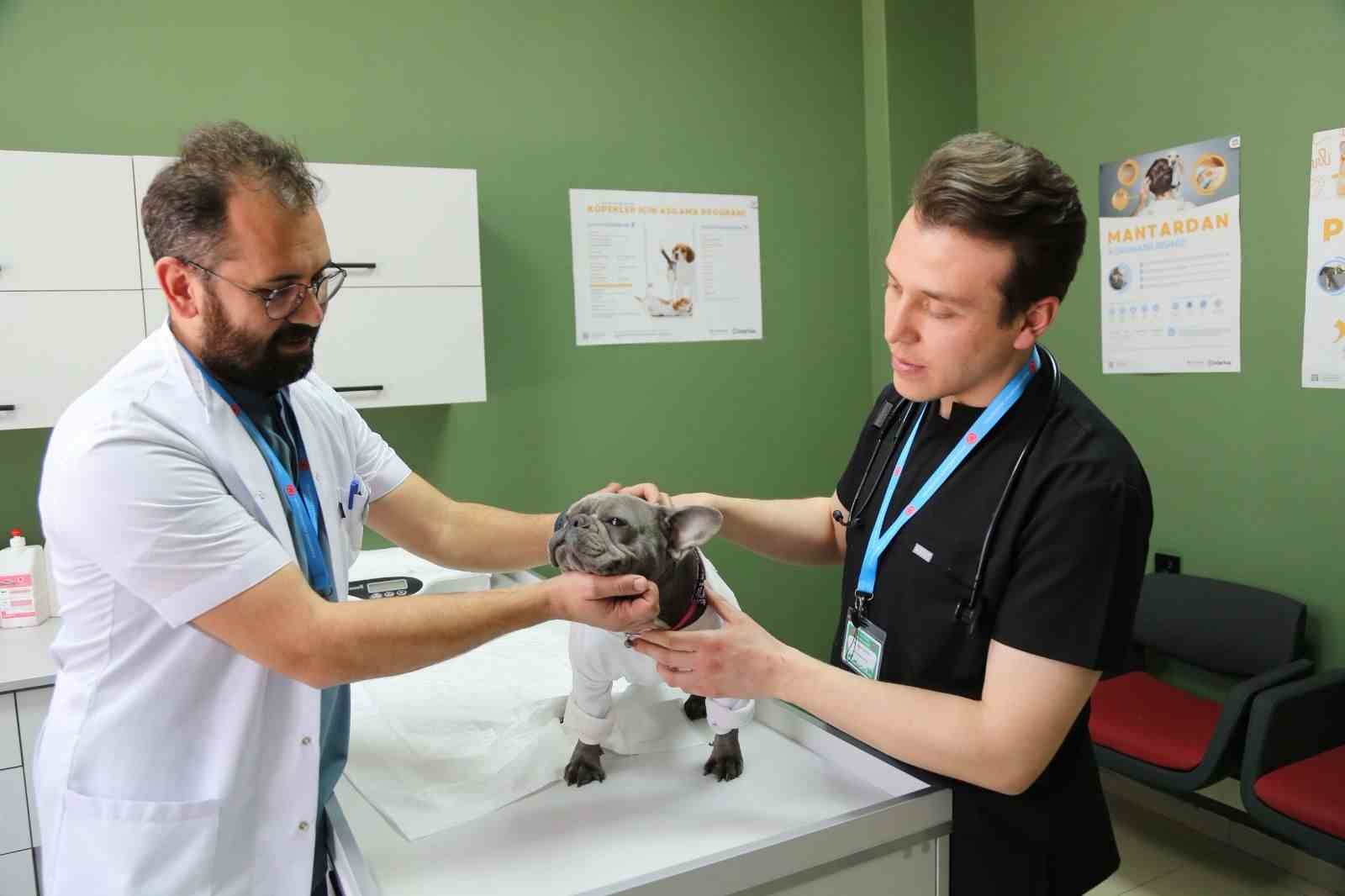 Sivas&rsquo;ta bir ilk: Atlantis yeniden duydu!
