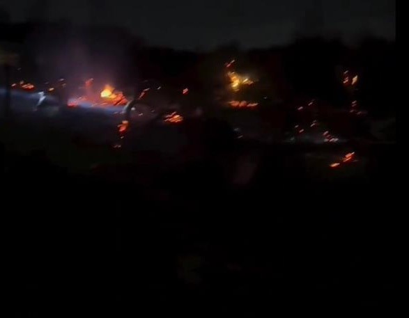 Yalova’da orman yangını