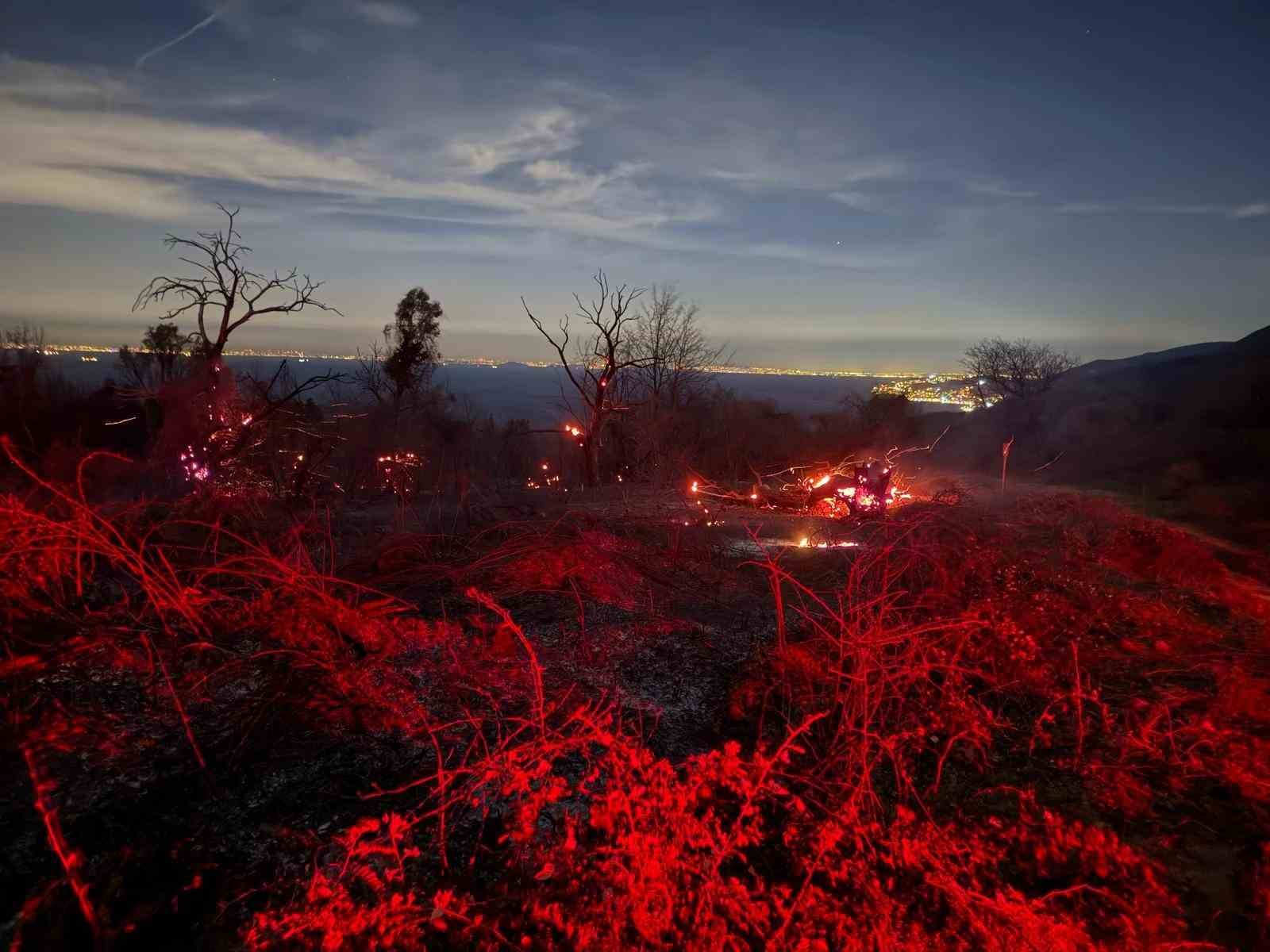 Yalova’daki orman yangını kontrol altına alındı