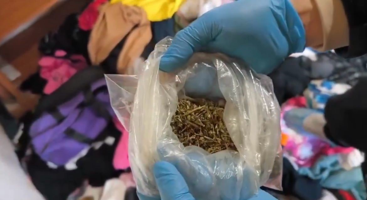 Sinop&rsquo;ta uyuşturucu operasyonu :1 tutuklama
