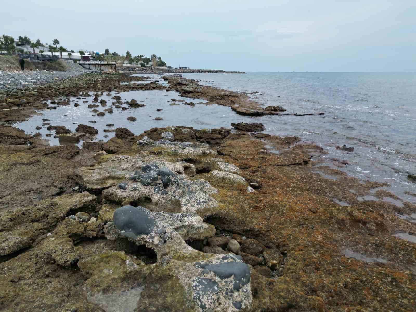 Yer yer 20 metreyi bulan &ccedil;ekilme yaşanmıştı, deniz normal seviyesine d&ouml;nmeye başladı
