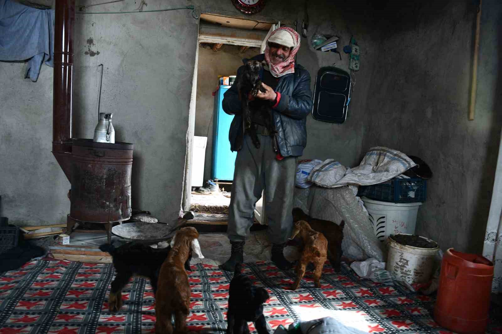 Vanlı besici, 9 yıldır Şırnak’taki Faraşin Yaylası’nda hayvanlarıyla yaşıyor