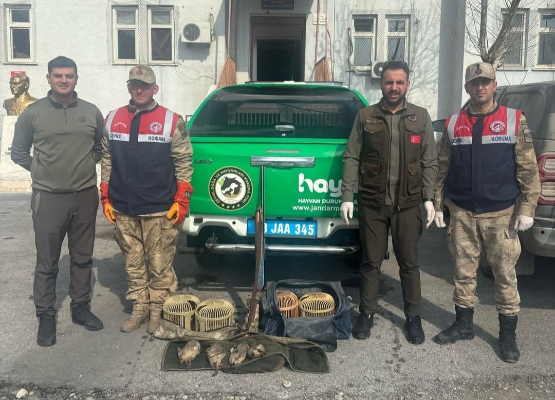 Bitlis’te yasa dışı keklik avına 114 bin 910 TL ceza