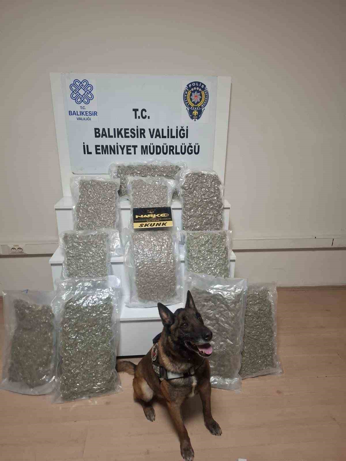 Balıkesir’de 12 kilo esrar ele geçirildi