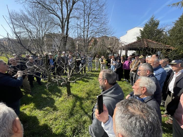 Bartın’da çiftçilere uygulamalı budama eğitimi
