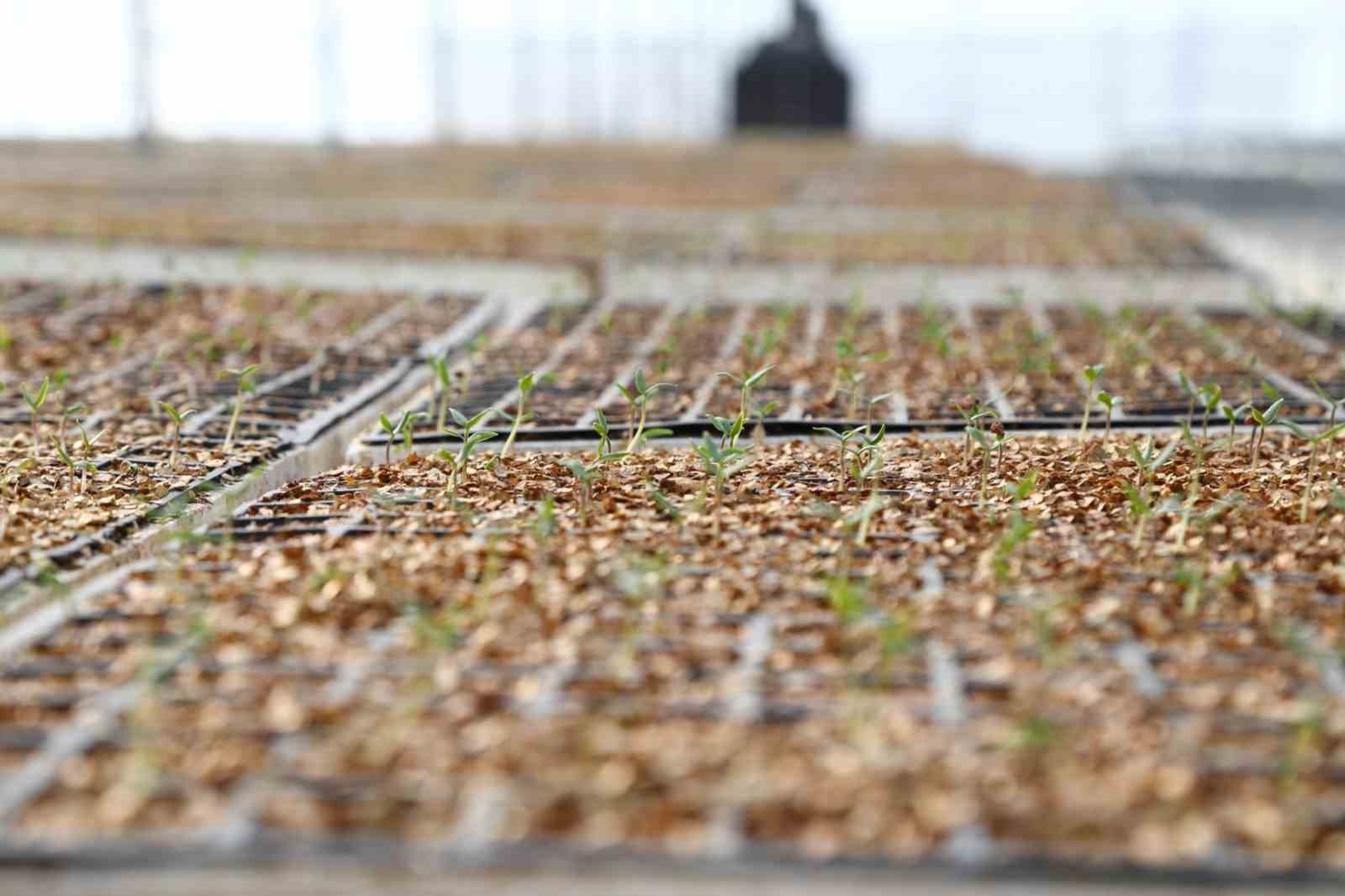 Belediye tarımsal üretim alanlarını iyileştiriyor