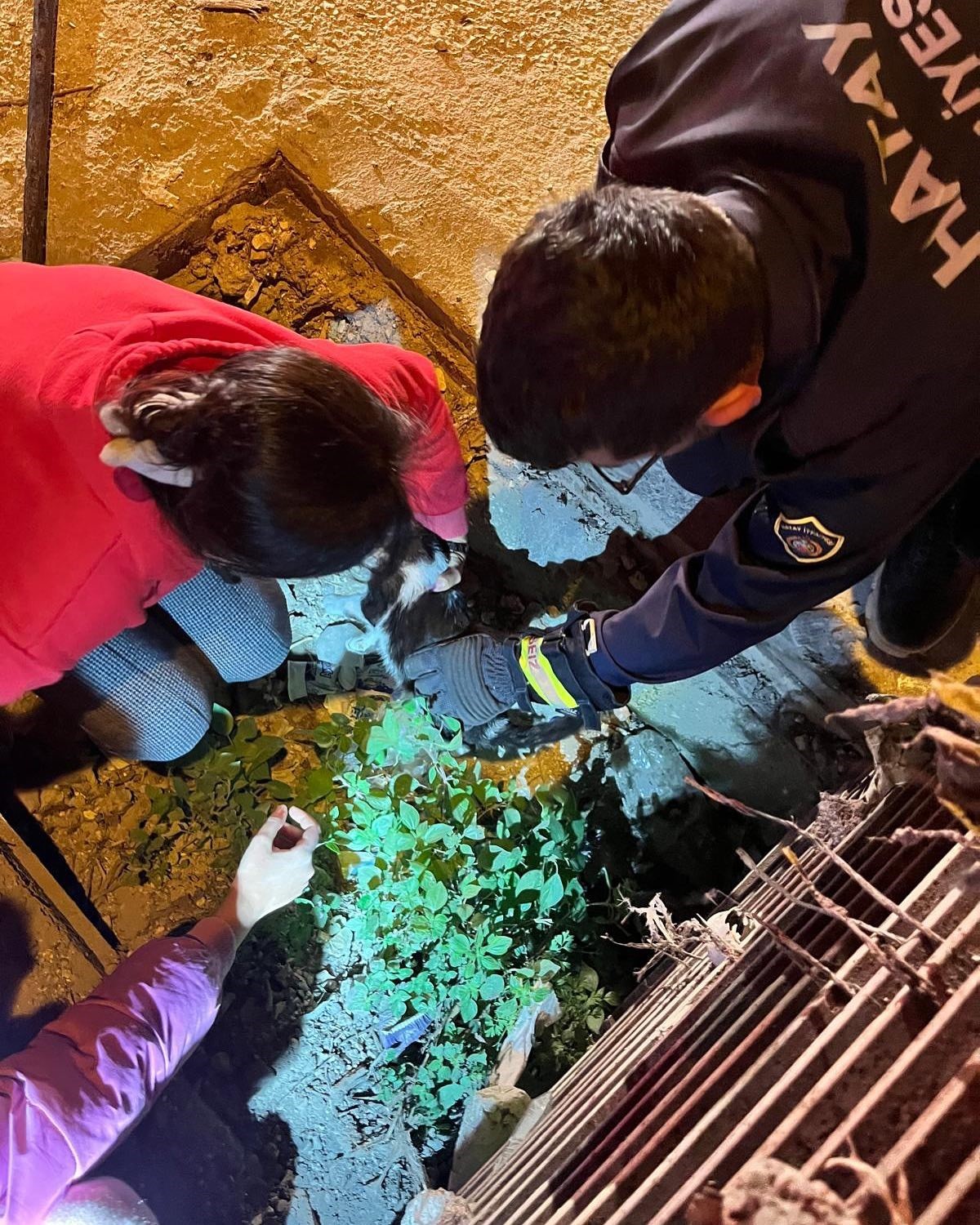 Yağmur suyu mazgalına sıkışan kediyi itfaiye kurtardı