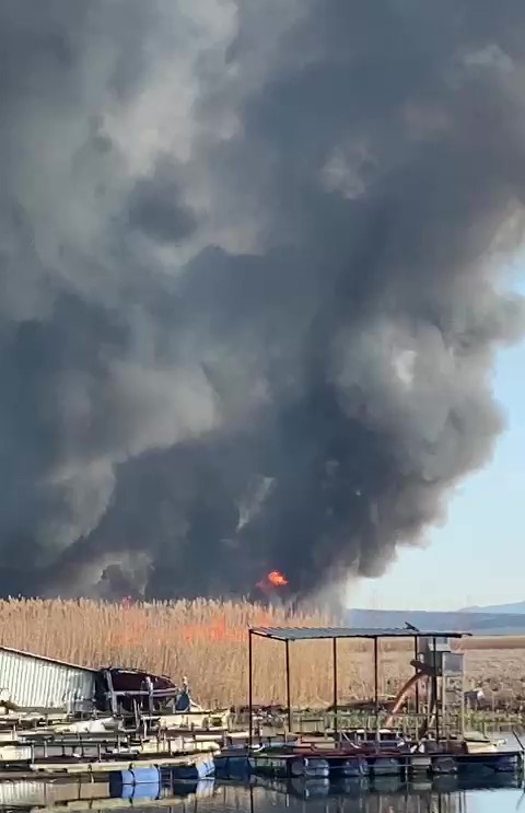 G&ouml;kg&ouml;l&rsquo;deki sazlıklar ateşe verildi

