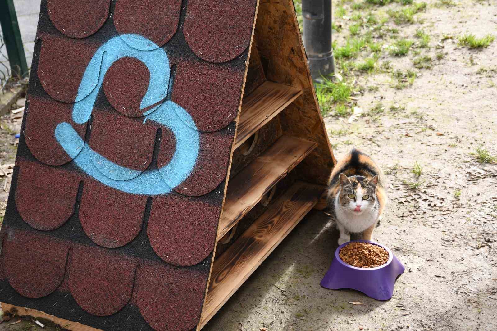 Balıkesir&rsquo;de patili dostlara sıcak yuva
