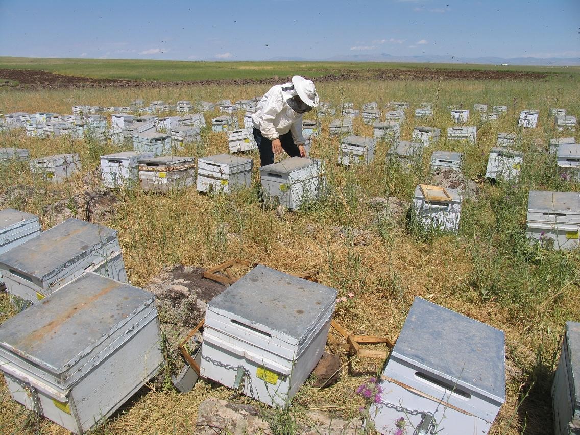 Diyarbakır&rsquo;da &ccedil;ift&ccedil;iye IPARD&rsquo;dan 158 milyon TL hibe desteği
