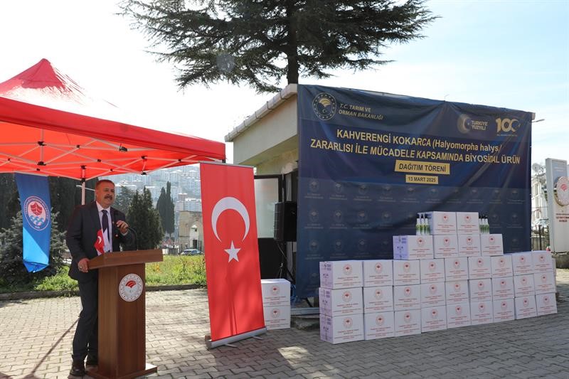 Hava sıcaklıkların artması ile Kahverengi kokarcalar yeniden kendini g&ouml;stermeye başladı
