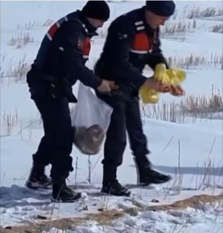 Jandarmadan yaban hayvanlarına yem desteği