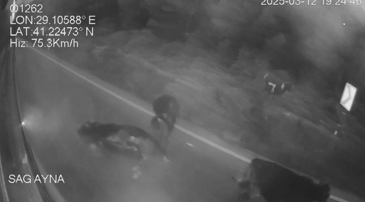 Sarıyer’de İETT otobüsü ile hafif ticari aracın çarpıştığı kaza güvenlik kamerasında