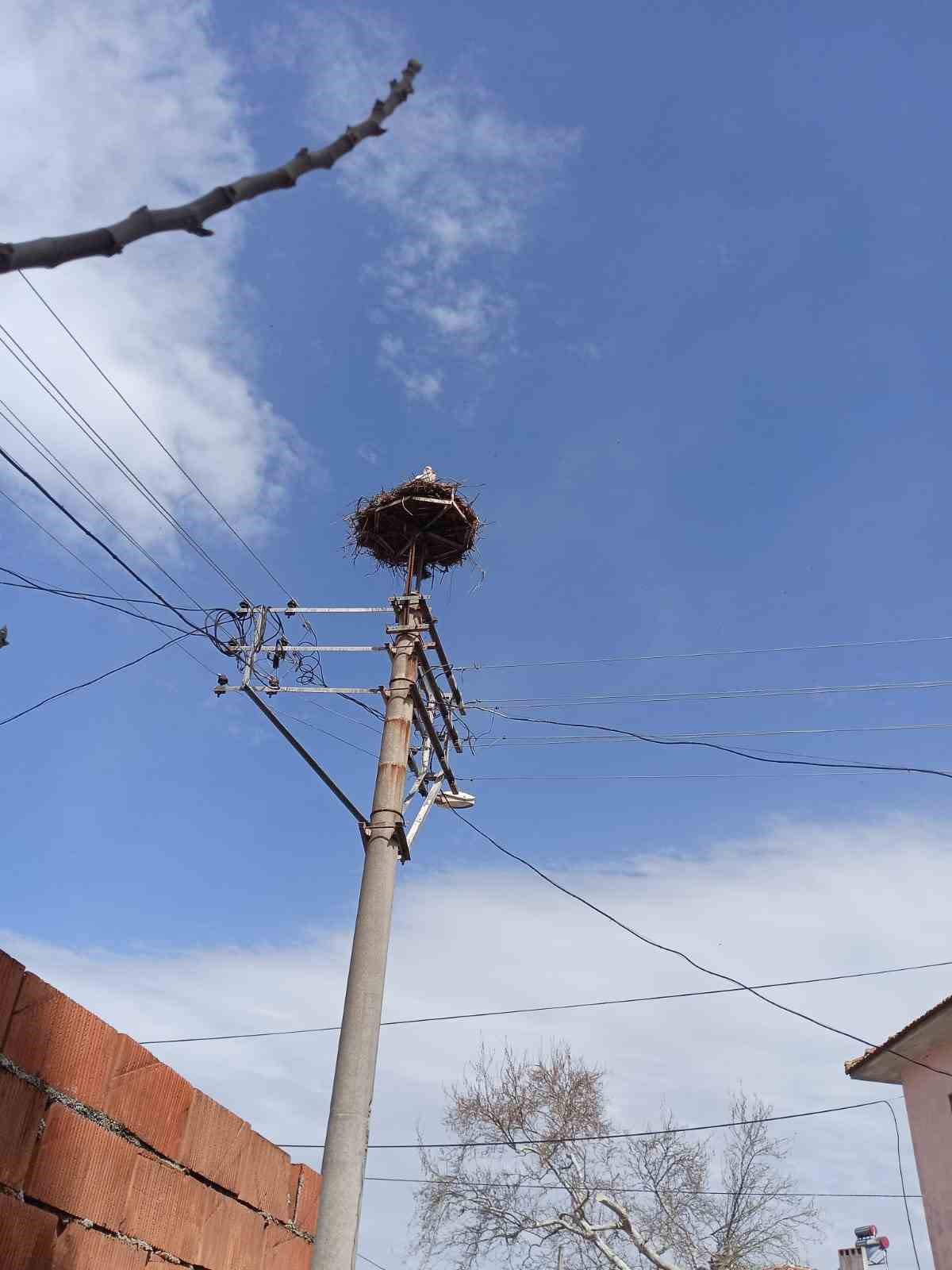 Baharın m&uuml;jdecisi leylekler Kepsut&rsquo;ta geldi
