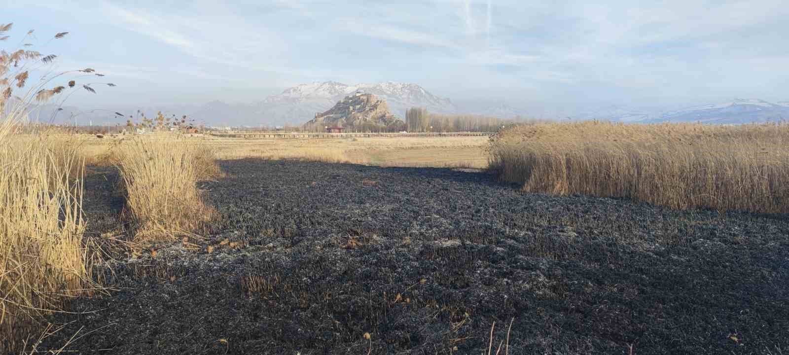Van&rsquo;da sazlık alanda yangın
