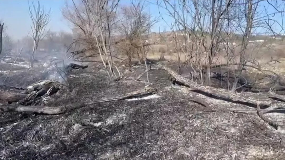 Emet’te ot yangını