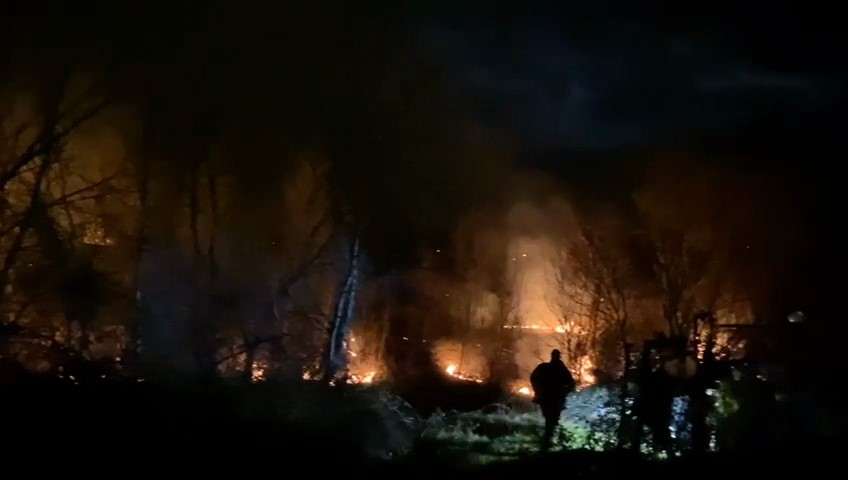Bursa&rsquo;da ormanlık alanda yangın
