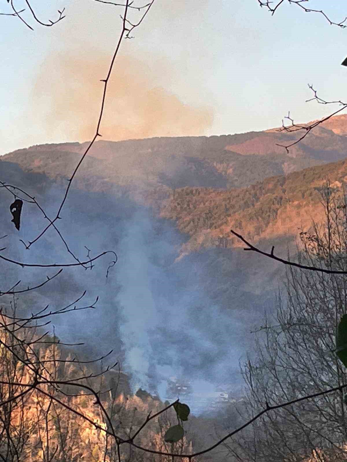 Hatay&rsquo;daki orman yangını ekiplerin m&uuml;dahalesiyle kontrol altına alındı
