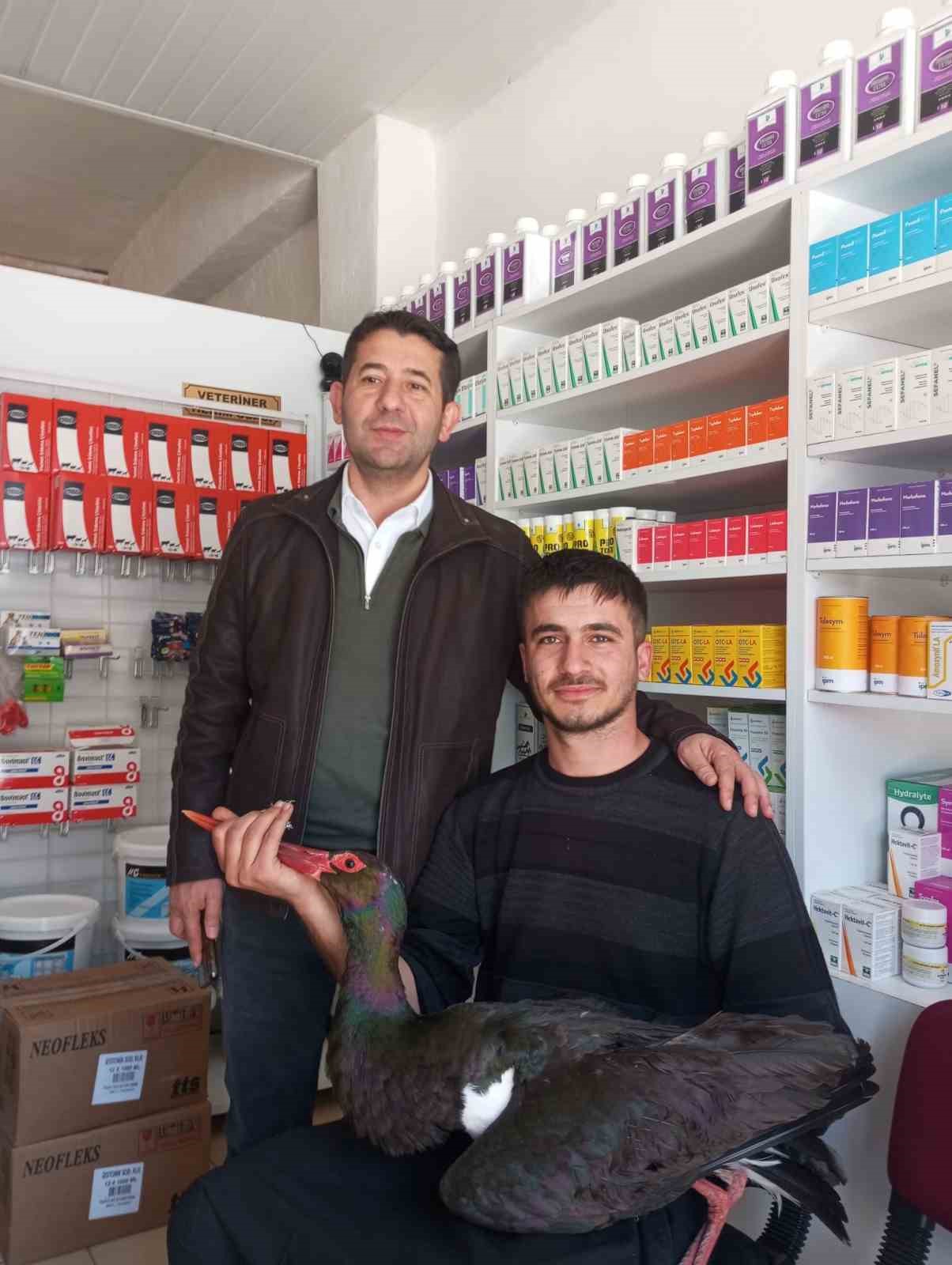 Nadir g&ouml;r&uuml;len kara leylek yaralı bulunarak tedavi altına alındı
