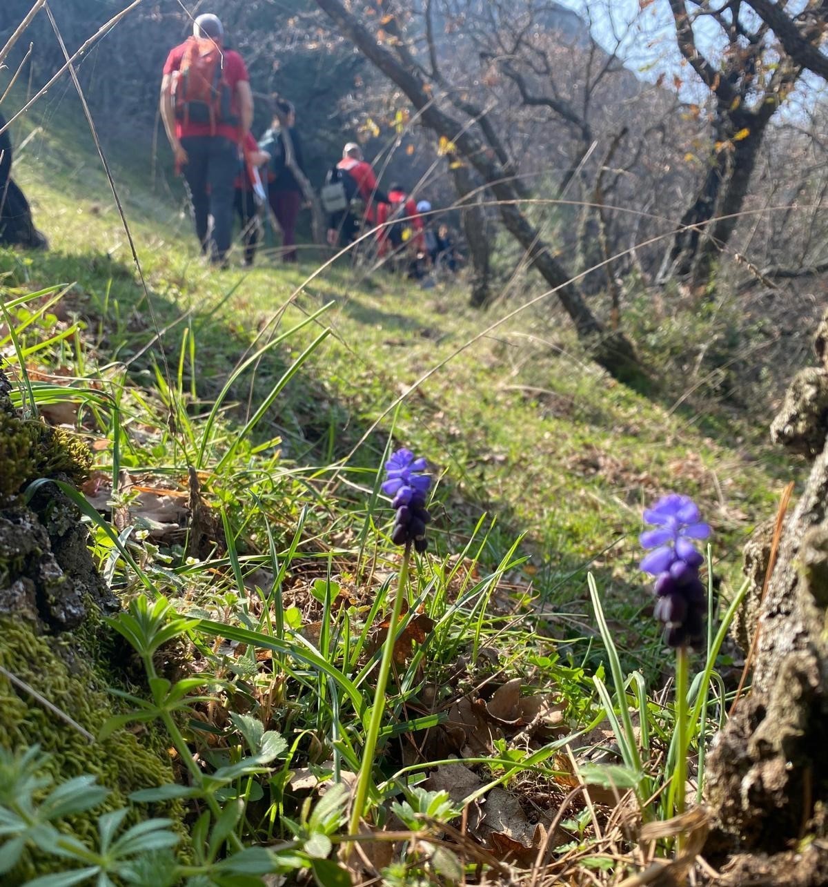 Turgutlulu dağcılar hem spor hem k&uuml;lt&uuml;r gezisi yaptı
