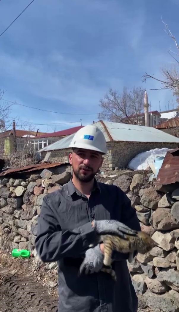 Direkte mahsur kalan kedinin yardımına iş&ccedil;i yetişti
