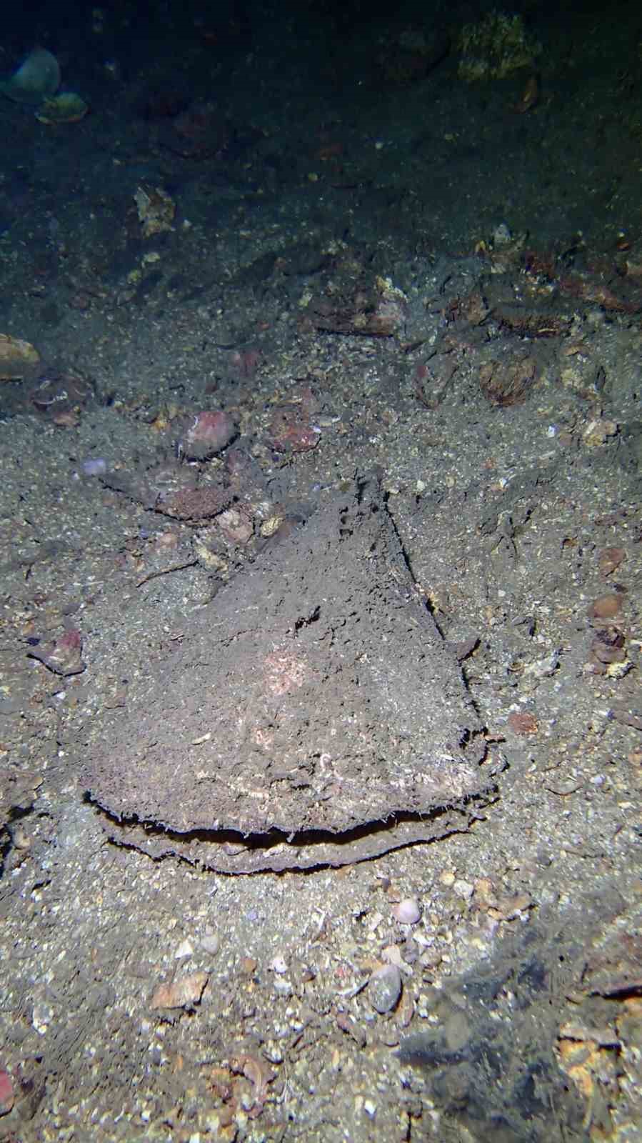 Marmara&rsquo;da m&uuml;silaj tehlikesi devam ediyor
