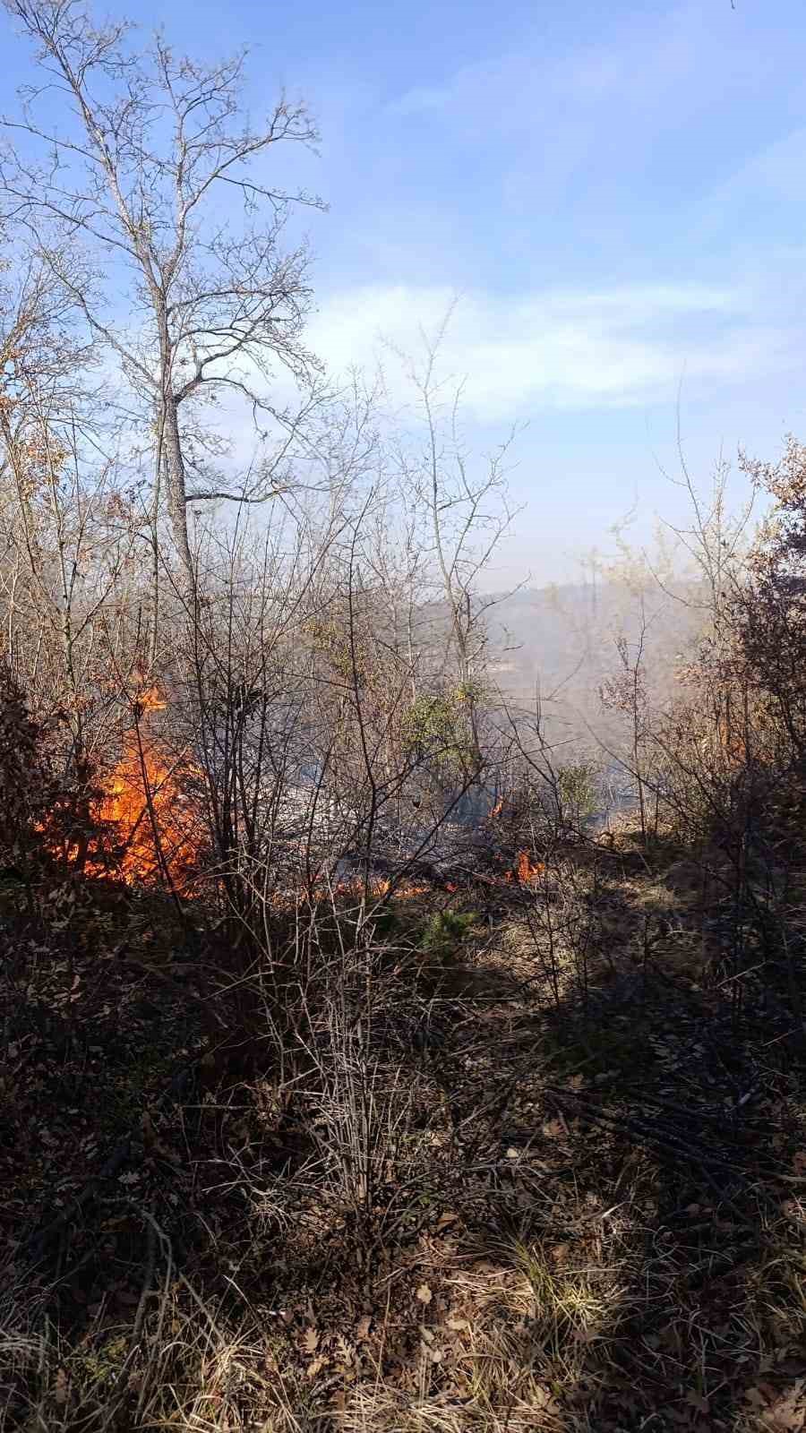 Enerji nakil hattında başlayan yangın ormanlık alana sı&ccedil;radı
