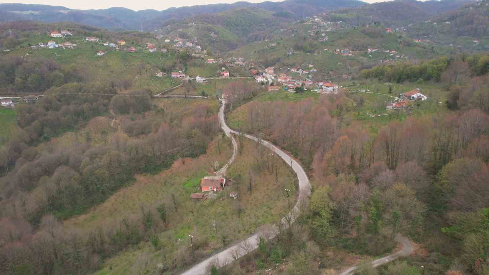 Zonguldak ormanları ilkbaharı renkleriyle karşılıyor
