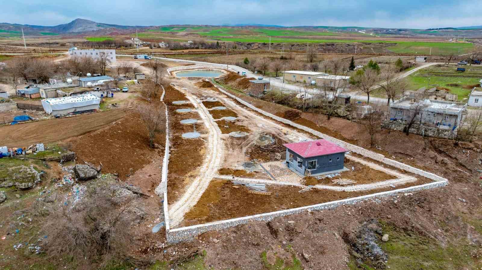 Batman’daki balıklıgöl çalışmalarında sona gelindi