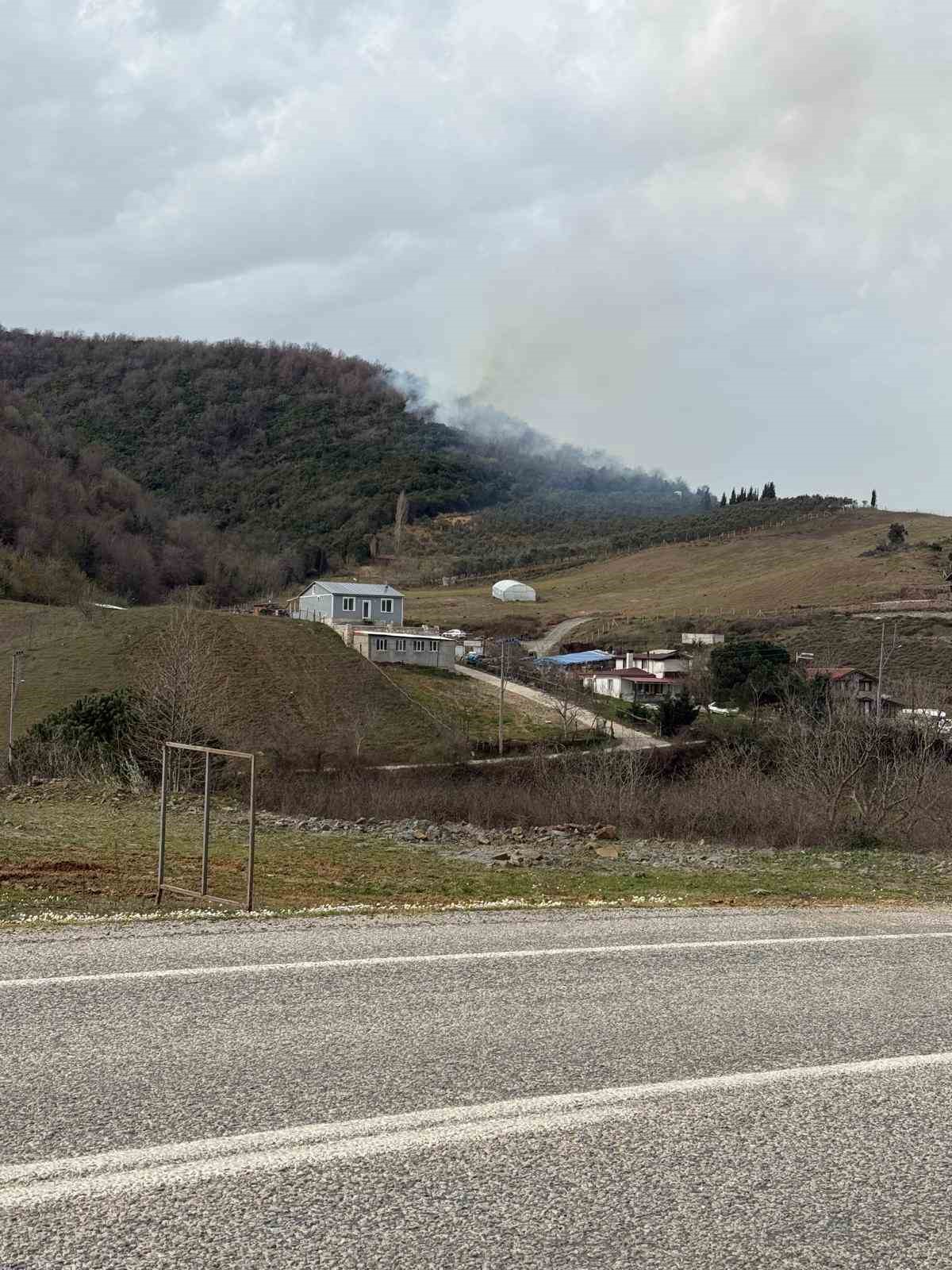 Yalova&rsquo;daki orman yangını kontrol altına alındı
