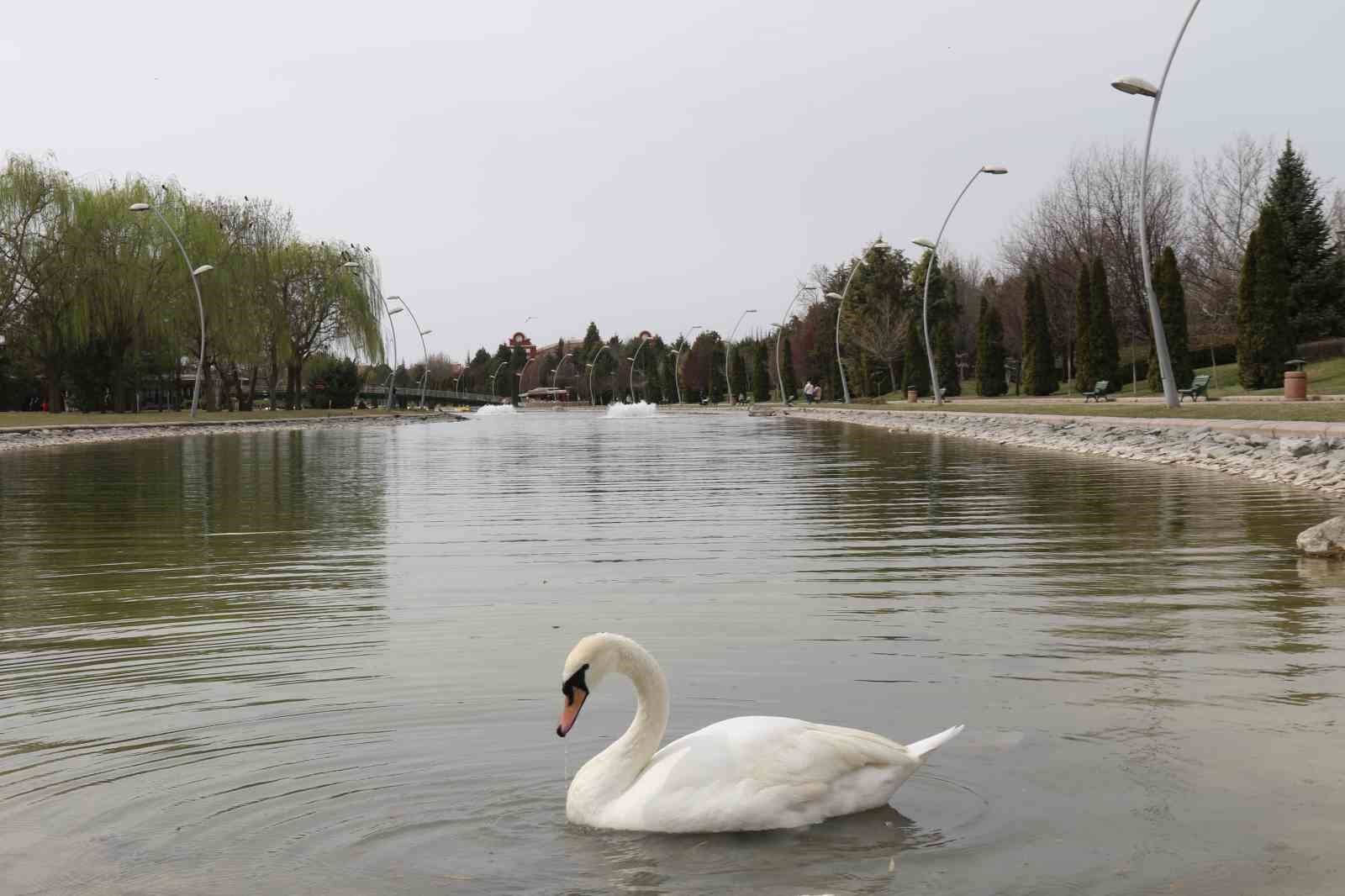 Eskişehirliler güzel havanın tadını çıkardı