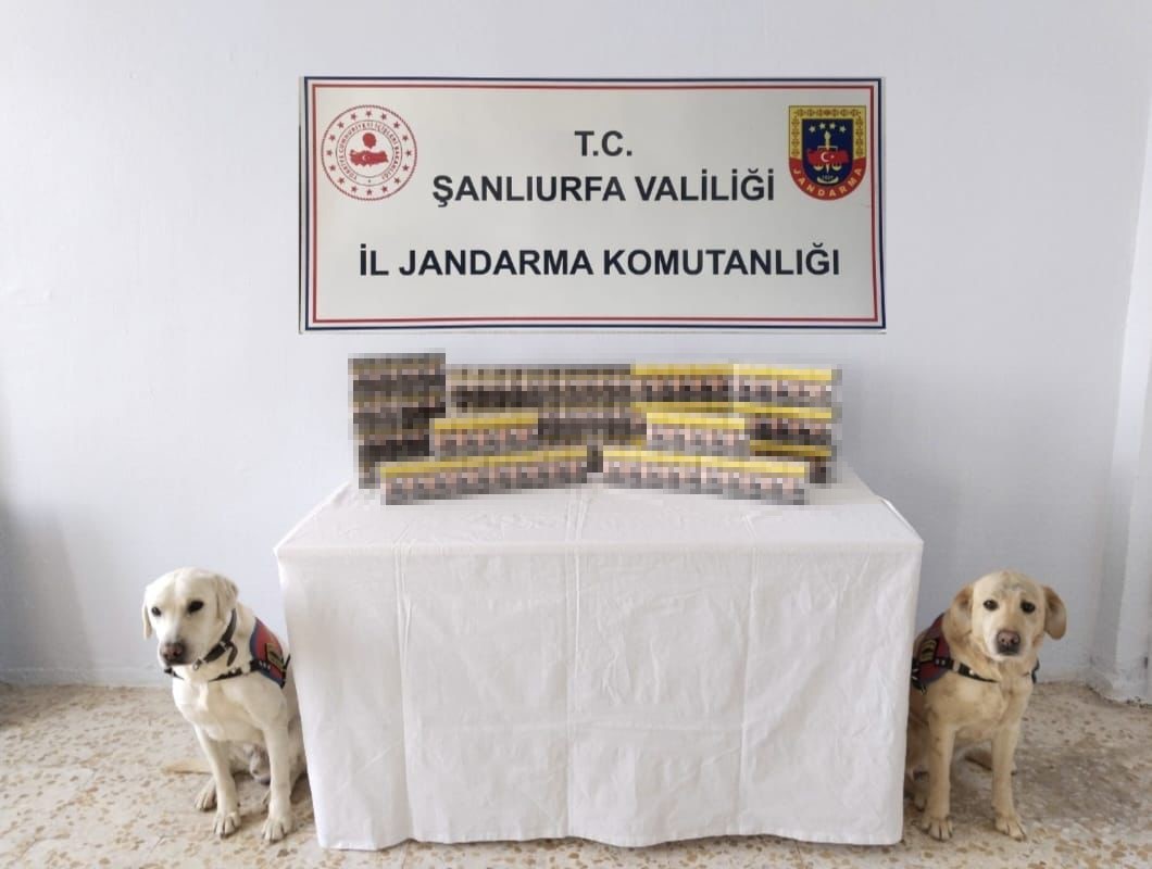 Şanlıurfa&rsquo;da ka&ccedil;ak sigara ve t&uuml;t&uuml;n ele ge&ccedil;irildi
