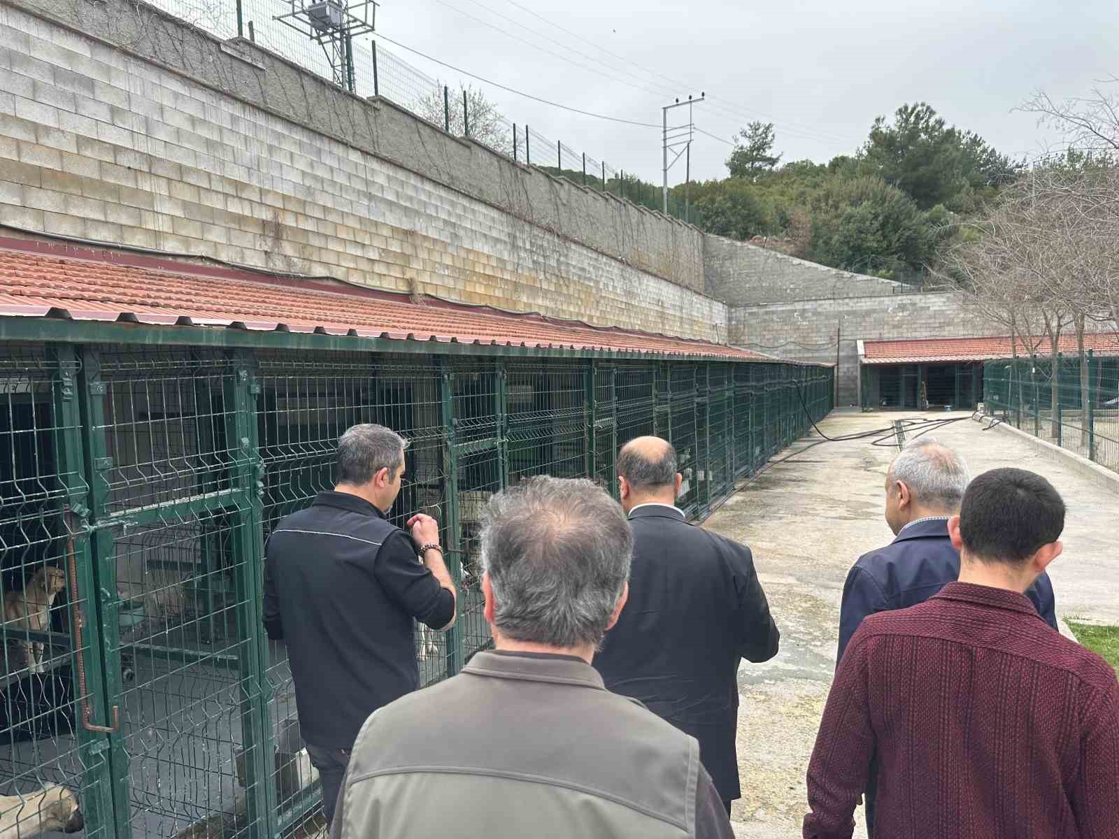 Bakanlık m&uuml;fettişleri barınakta incelemelerde bulundu
