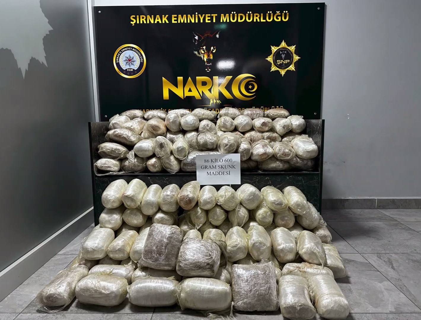 Şırnak’ta araçta 86,6 kilogram skunk ele geçirildi: 3 gözaltı